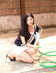 叶落长安电视剧